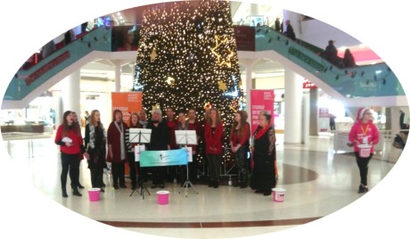Group from Dynamic Meladies performing at Braehead