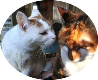 Authors - Portia and Pebbles