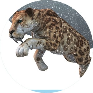 Sabre Tooth Cat